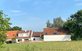 Le Cocon